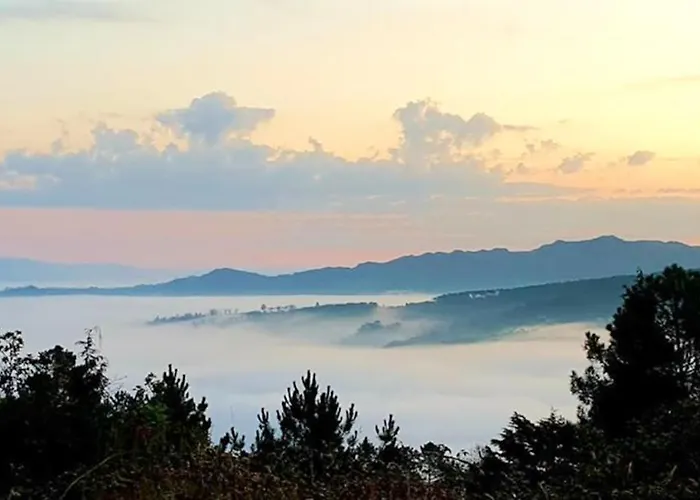 Дом отдыха Cozy House In Agueda 45 M² With Shared Pool