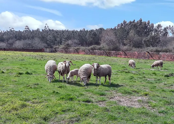 Cozy House In Agueda 45 M² With Shared Pool Urgueira (Aveiro)